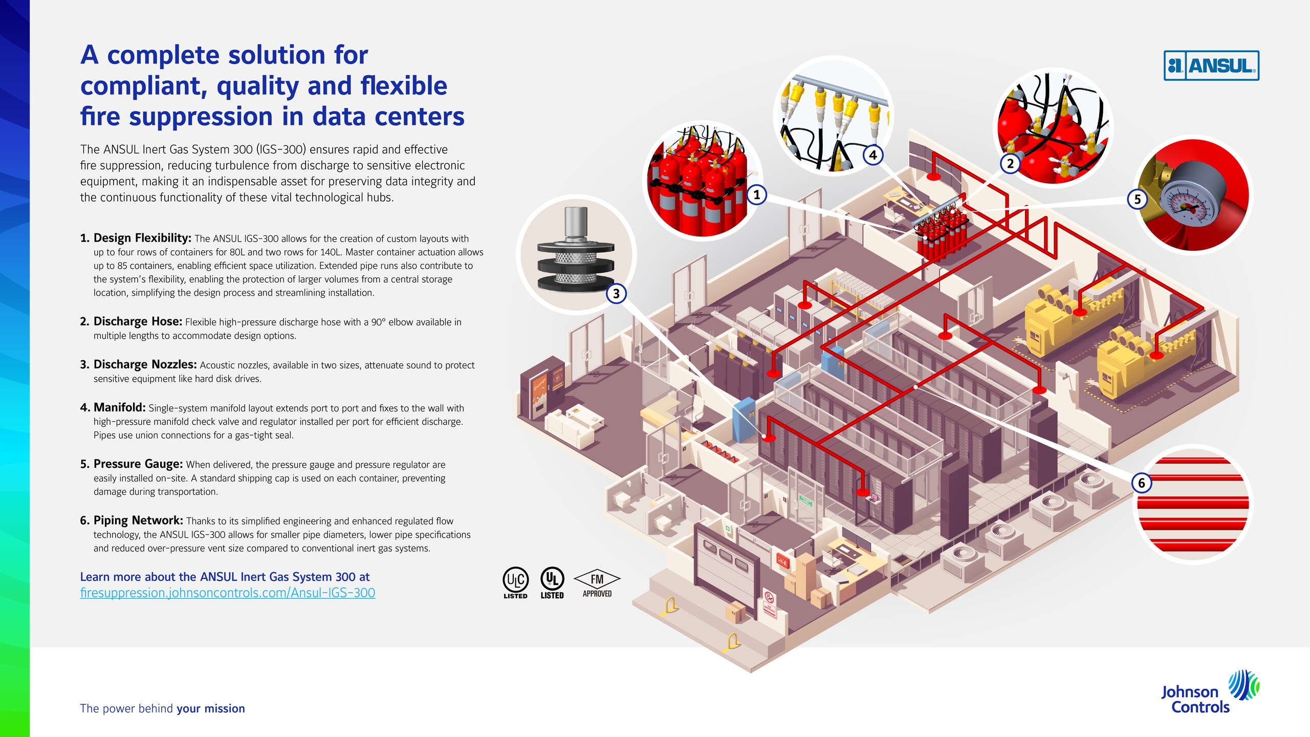 IGS infographic