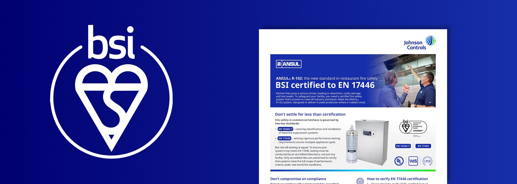 bsi image