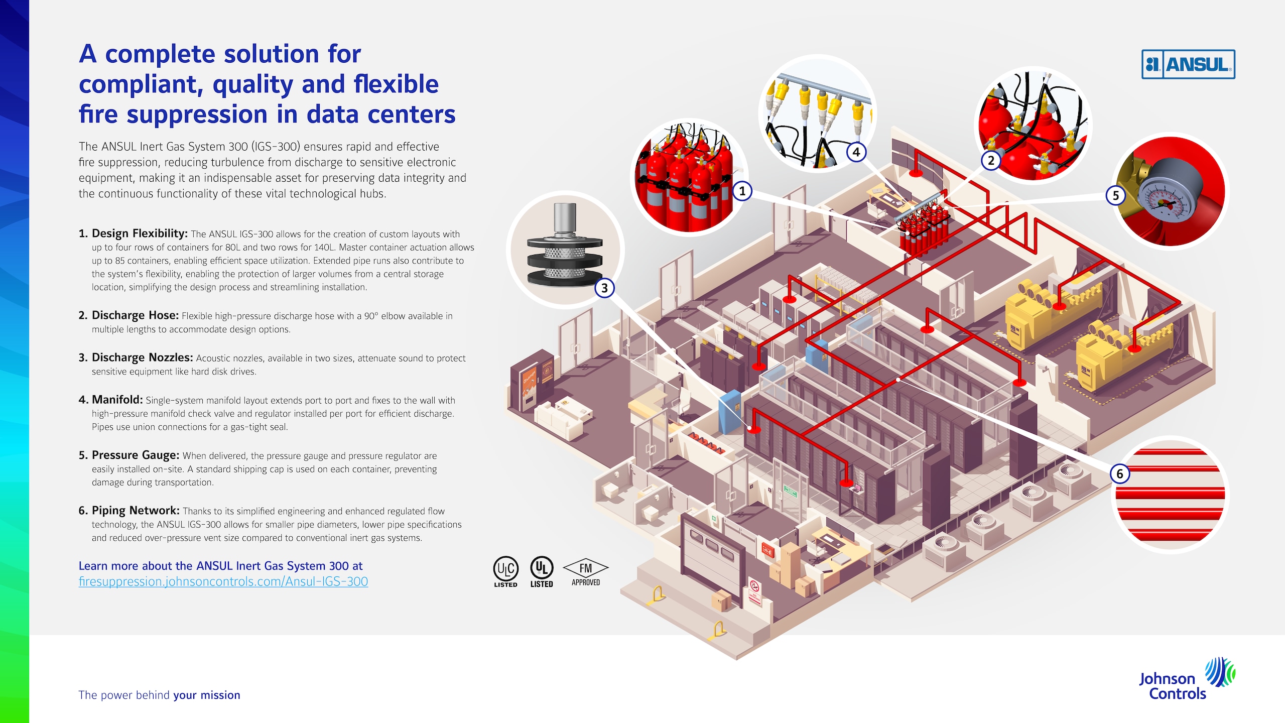 IGS infographic